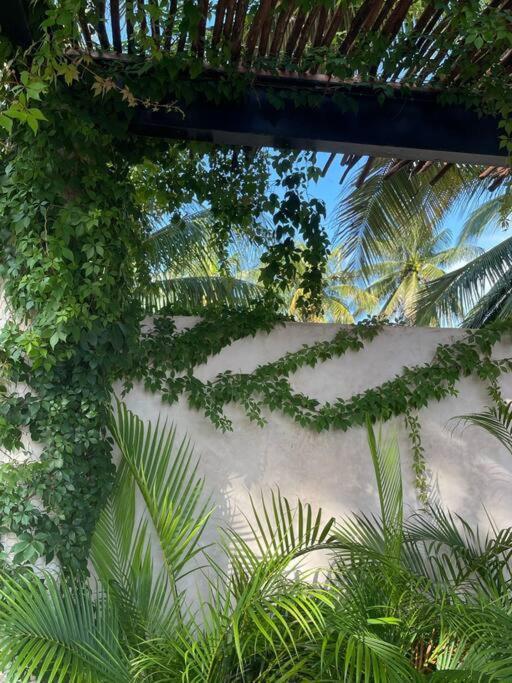 Casa Tulup Sisal Villa Buitenkant foto